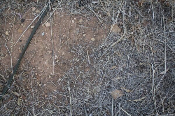 Adelaide Permaculture Soil Condition Before