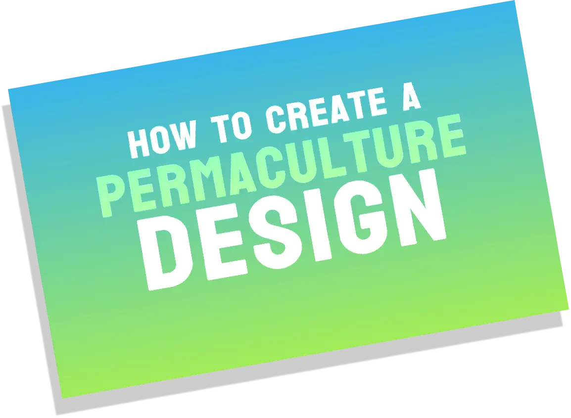 How to Create a Permaculture Design
